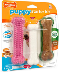 Nylabone Puppy Pacifier Chew Toy - Pink / Small