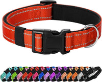 Reflective Dog Collar, Adjustable Nylon for Medium Dogs - Tangerine / L:width 1"neck 17.5-27"