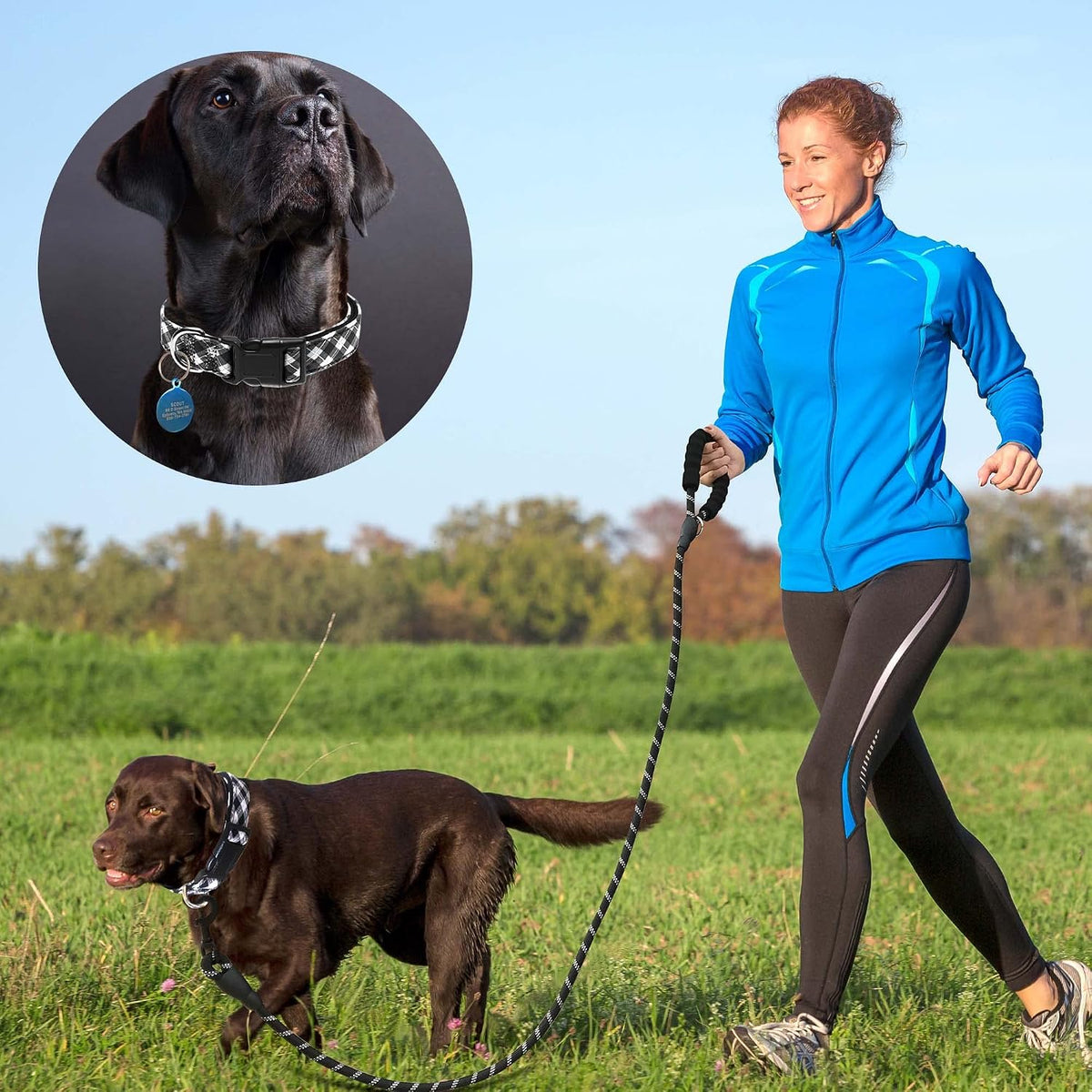 Ladoogo Reflective Dog Collar Padded with Soft Neoprene - Black/White / Medium - image 4