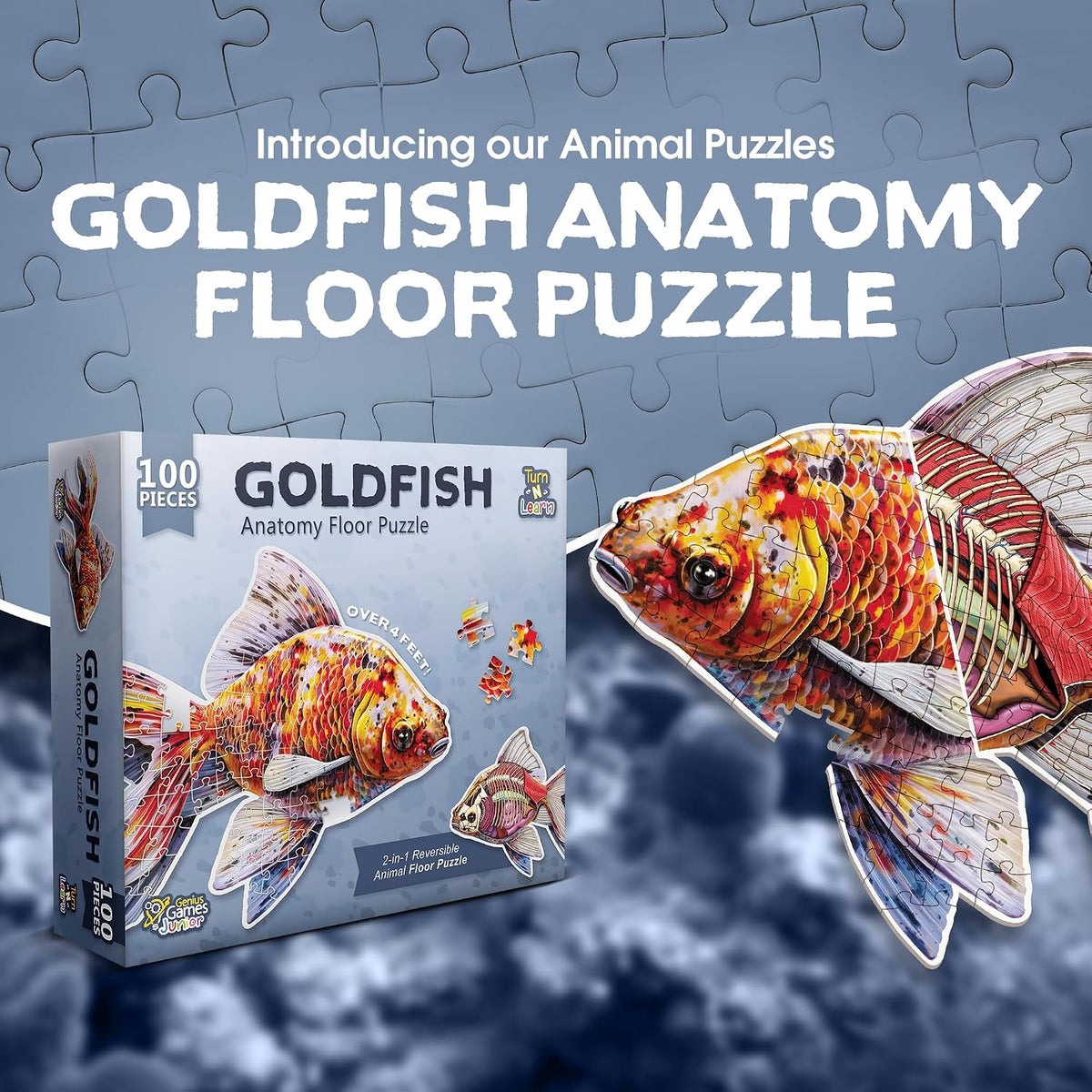 Genius Games shark anatomy floor puzzle showing a great white shark and its anatomy - view 7