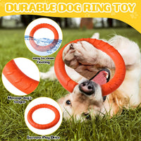 4 Pack 7.48 Inch Dog Ring Toy for Large Medium Dog Training - Multicolored / 7.48 Inch - image 2