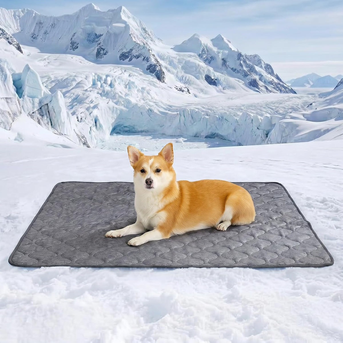 Cozy Bliss Leakproof Cooling Blanket for Large Dogs, Q-Max 0.5 - Heather Charcoal Grey / 40*60