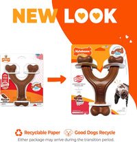Nylabone Power Chew Customer Favorites Dog Chew Toys - Large / Wishbone - image 3