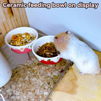 2 Pack Ceramic Guinea Pig Food Bowl Hamster Food Bowls for Gerbil Rat – Essentials for Small Pets - Pink + Red - image 4