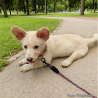 WYuZe 5ft Puppy Leash for Small Dogs Cats - Pink Green / 5 FT (3~18 lbs) - image 4