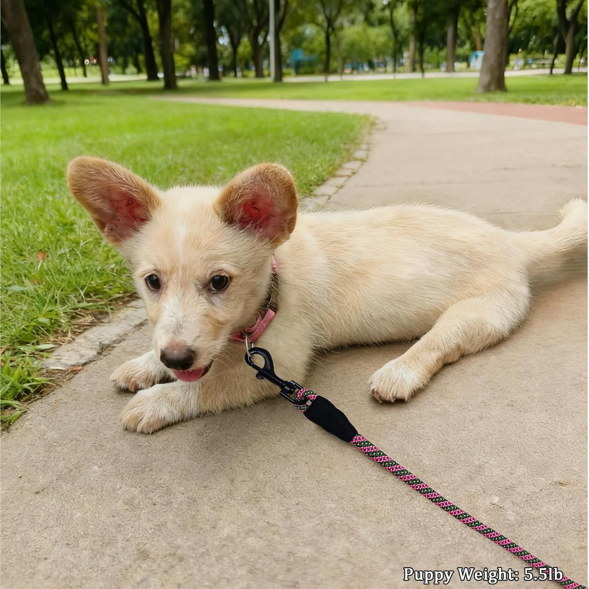 WYuZe 5ft Puppy Leash for Small Dogs Cats - Pink Green / 5 FT (3~18 lbs) - image 4