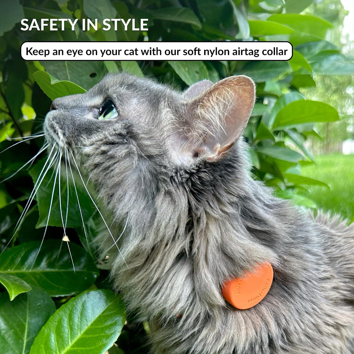 Tribal Aztec Cat Collar 2-Pack, Breakaway with Bell – Essentials for Cats - Orange, AirTag Holder, 6-7" - image 2