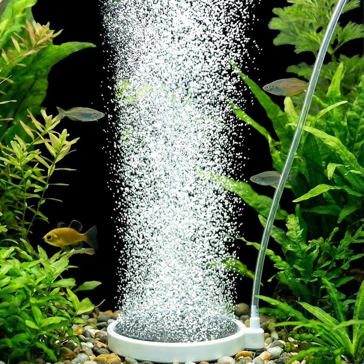 Fish Tank Bubbler, 3.2 Inch Aquarium Air Stone Kit, Nano Quiet Oxygen Diffuser for 20-70 Gallon - 3.2 Inch, for 20-70 Gal