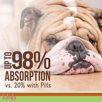 Licks Pill-Free Dog Joint and Heart - Glucosamine & Omega 3 Fish Oil Supplement for Dogs - Inflammation Supplements for Joint Support - Gel Packets - 10 Use