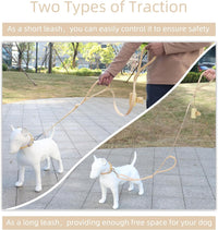 Wisedog Two Handles Dog Leash, Lilac - Sand Color / M - image 4