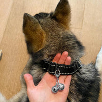 4 Sets Cat Bell for Dog Collar Charm Training Pet Pendant Accessories - X-S / Silver - image 2