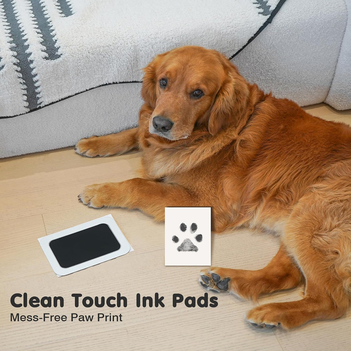 Inkless Paw Print Kit for Dogs, Cats & Babies - Black Pad,Black/Natural Wood Frame / 4-Pack,Large - image 4