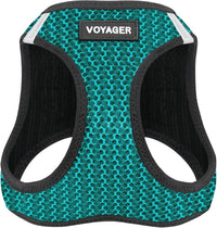 Voyager Step-in Air Dog Vest Harness - Turquoise 2-Tone / S (Chest: 14.5 - 16")