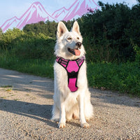 Eagloo Dog Harness Large Breed, No Pull Service Vest with Reflective Strips and Control Handle, Adjustable and Comfortable for Easy Walking, No Choke Pet Harness with 2 Metal Rings, Rose Red, XL