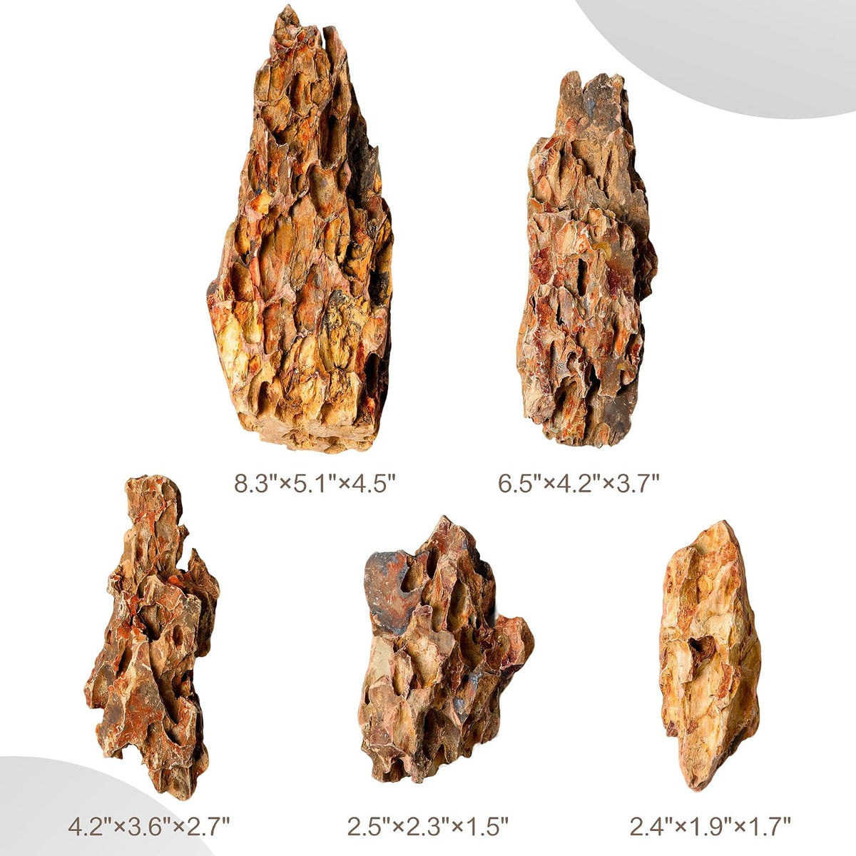 6.1-8.1 Inches Natural Dragon Stone, Terrariums - 2.2-8.1 in - image 3