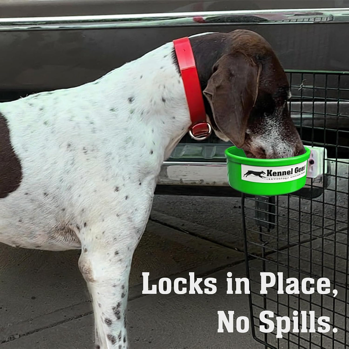 Dog Crate Water Bowl No Spill - Green - image 2