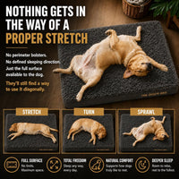 The Dog’s Bed Orthopedic Memory Foam Dog Bed - Grey Fur / Large Beds (6" deep) - image 3
