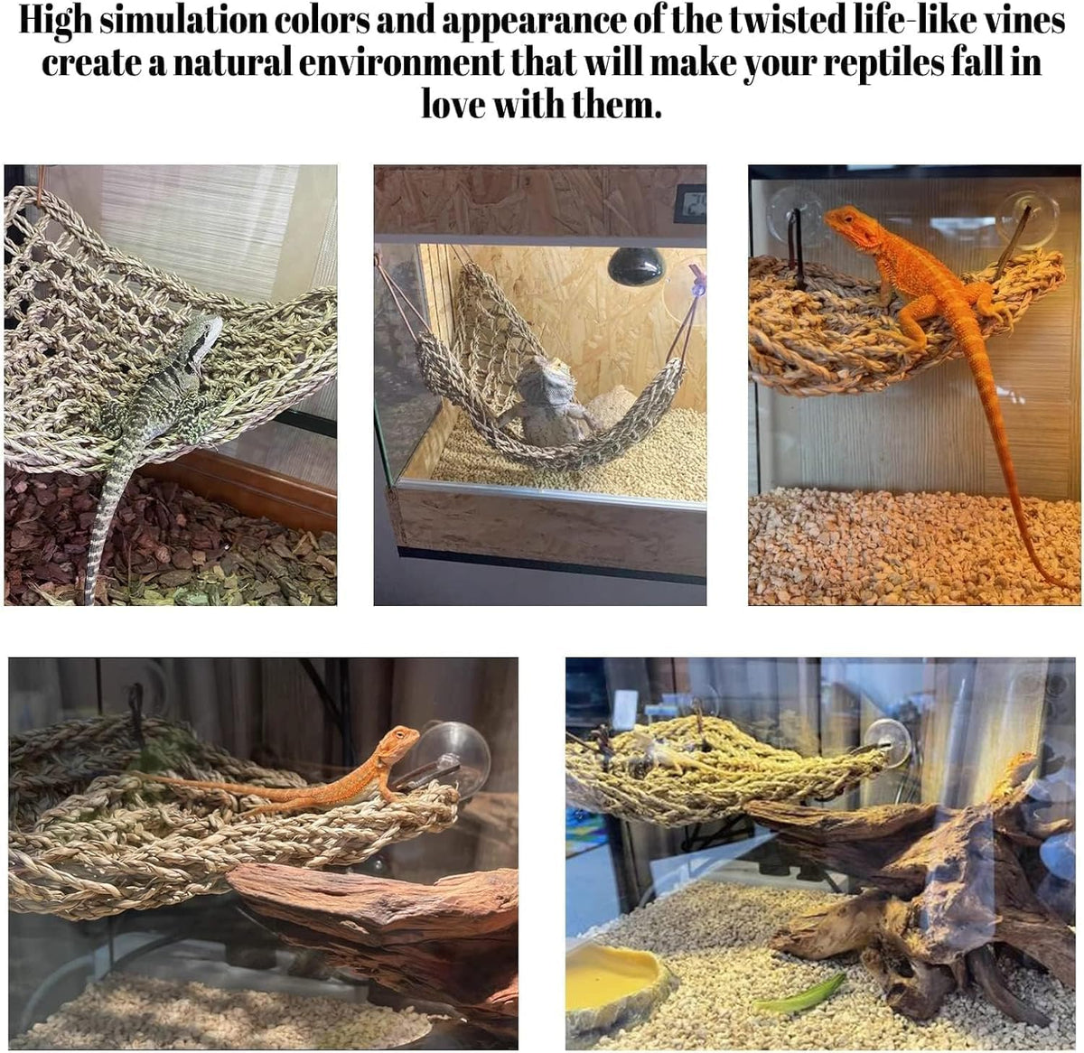 PINVNBY Bearded Dragon Hammock, Bearded Dragon Tank Accessories - 3 PCS - image 3