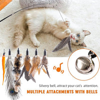 Retractable Cat Wand Toys - Interactive Feather Wand with Bell for Indoor/Outdoor Cats, 8 Pack