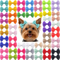 Dog Hair Bows Small Puppy Clips for Pet Grooming Accessories Doggy - 2in solid dog hair clips 30 Pairs