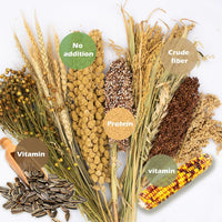 Natural Ear of Grain Flower&Herb Bedding Mate Habitat Decor - Miscellaneous grain crops - image 3