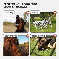 CollarDirect Dog Muzzle German Shepherd Dalmatian Doberman Setter Leather Basket Medium Large Breeds (Grey, Medium)