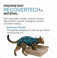Bellyguard Cat Recovery Suit Female and Male, Comfy Onesie After Surgery, Kitten Clothes for Post-Op Care, Neuter and Spay Healing Outfits for Cats Only – Comfortable Kitten and Adult Cone Alternative