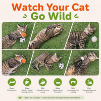Agape Organic Catnip & Silvervine Filled Cat Toy Balls with Bell Sound – Essentials for Cats - 2 Ball Set - image 3