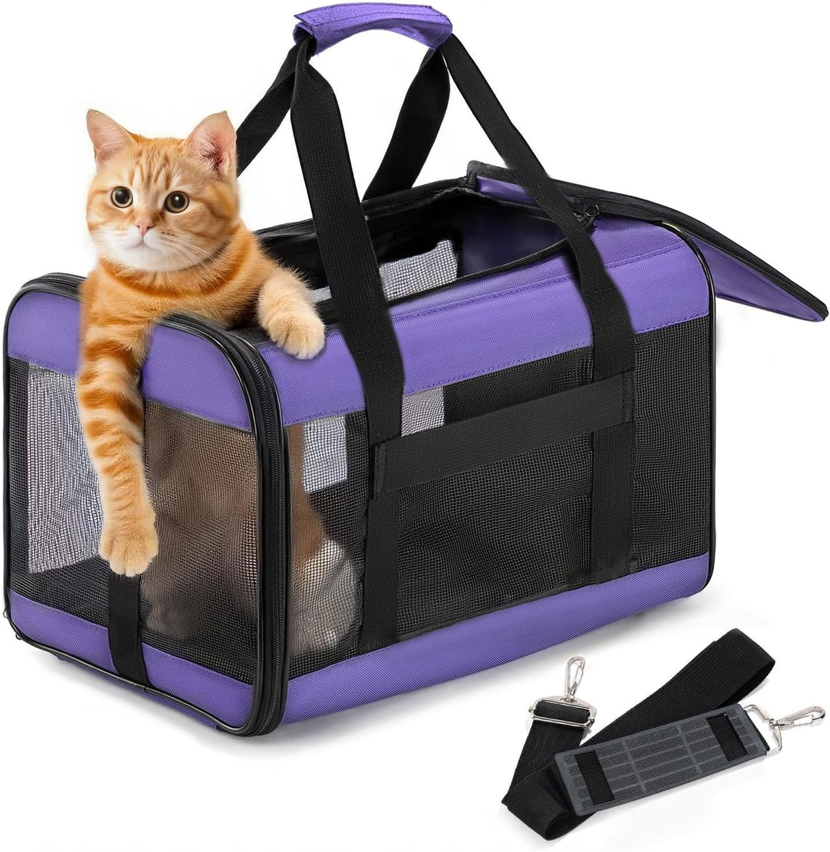 Conlun Cat Carrier Soft-Sided Pets Travel Carriers up to 15 Lbs - Purple / 17.0"L x 11.0"W x 11.0"H