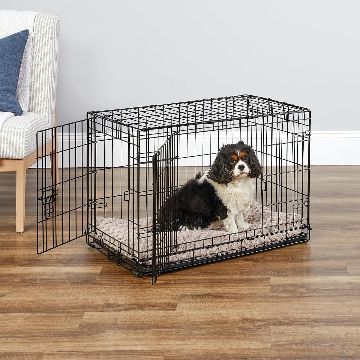 New World by Midwest 42-Inch Single Door Crate, for Large Breeds - Double Door - Black / Small (30"L) - image 2