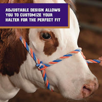Weaver Livestock Braided Poly Rope Cattle Halter, Adjustable, Modern Style Cow Calf Halter, Livestock Handling Equipment for Showing, Blue/Coral/Gray
