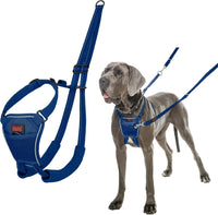 Halti No Pull Dog Harness, Size M - Cobalt Blue / L