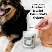 Pet-Pourri Pawsitively Fresh Pet Odor Deodorizer Candle - Pawsitively Fresh - image 3