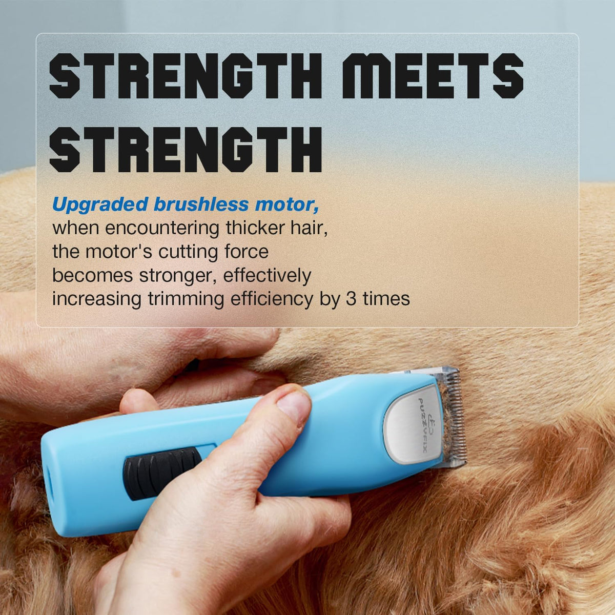 Professional Dog Clippers for Grooming Thick Curly Matted Coats – Essentials for Dogs - Blue - image 2