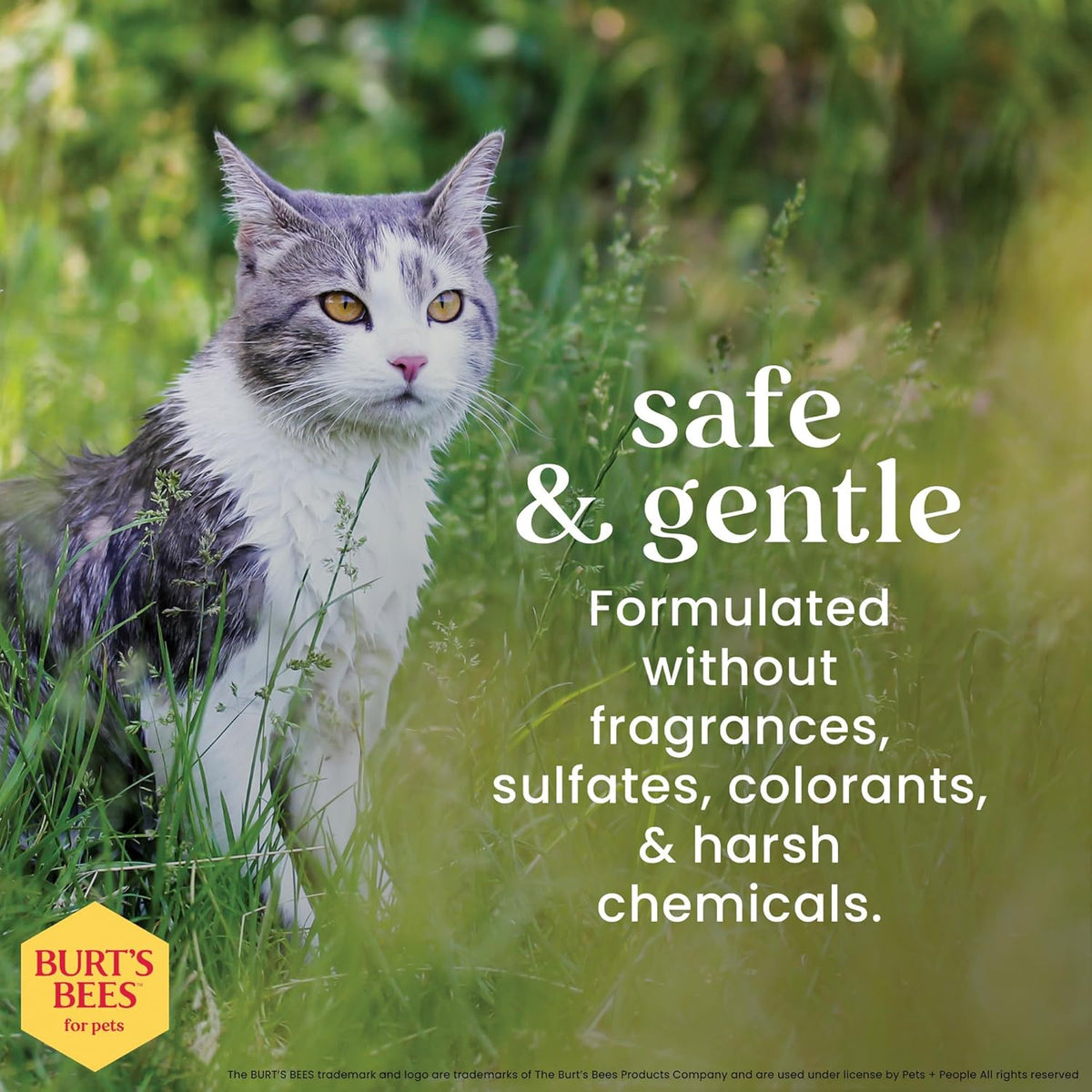 Burts Bees for Pets Waterless Cat Shampoo Spray - image 4