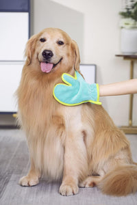Pawyee Super Soft Fast-Drying Dog Towel with Drying Gloves for Cold - Large / Blue Dino - image 3
