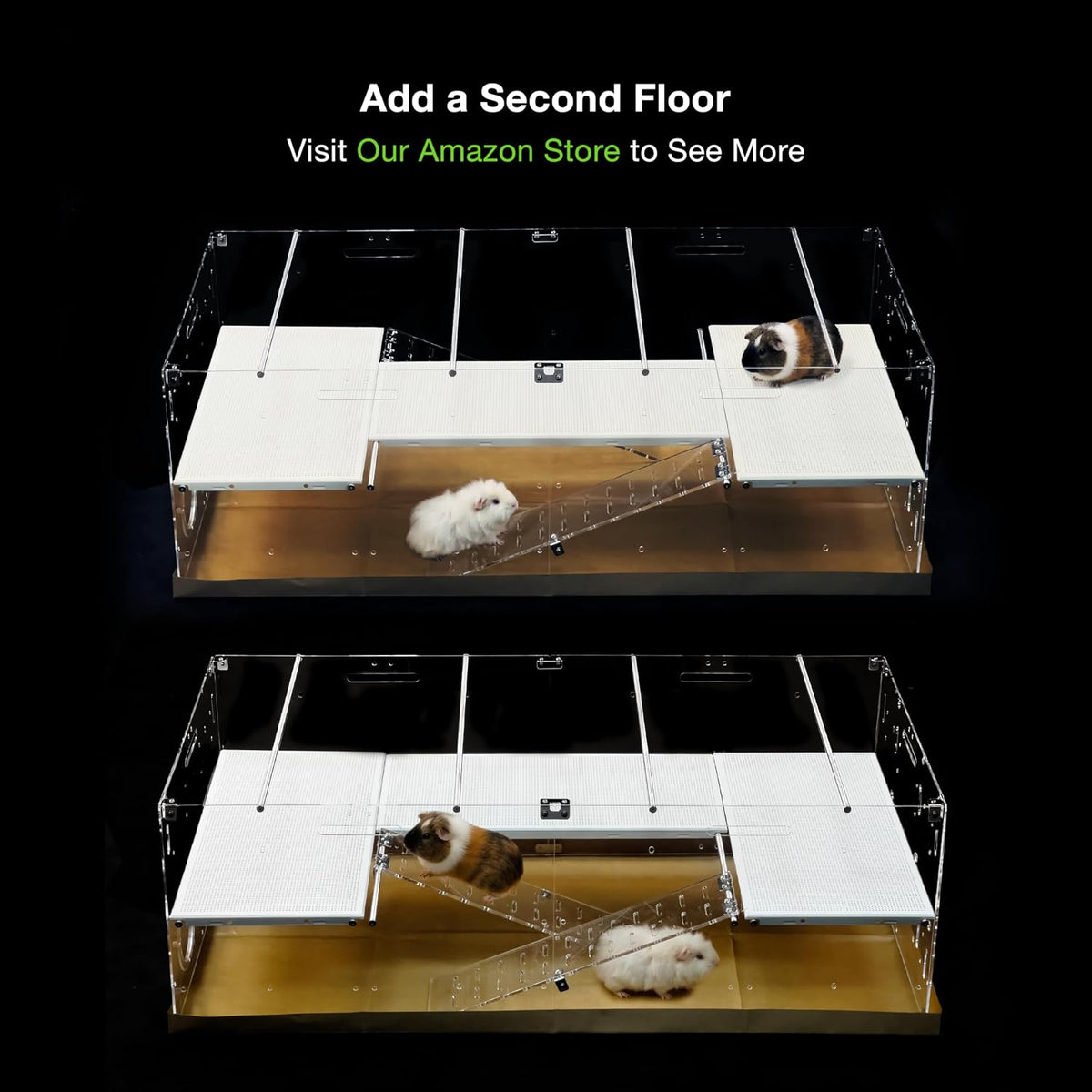 GuineaLoft Model-A Acrylic Guinea Pig Cage - Model-A3 - image 2