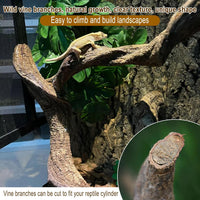 Reptile Decor 3PCS Natural Forest Branch Terrarium Habitat Decoration - XL: 6PCS (16IN) - image 4