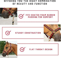 Weaver Leather Nylon Horse Halter, Padded and Adjustable, Chin and Throat Snap Hook Halters for Horses, Brass Plated Halters for Training