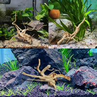 Aquarium Driftwood Reptile Branches Wood Natural Spiderwood Driftwood - 11 Pcs - image 3
