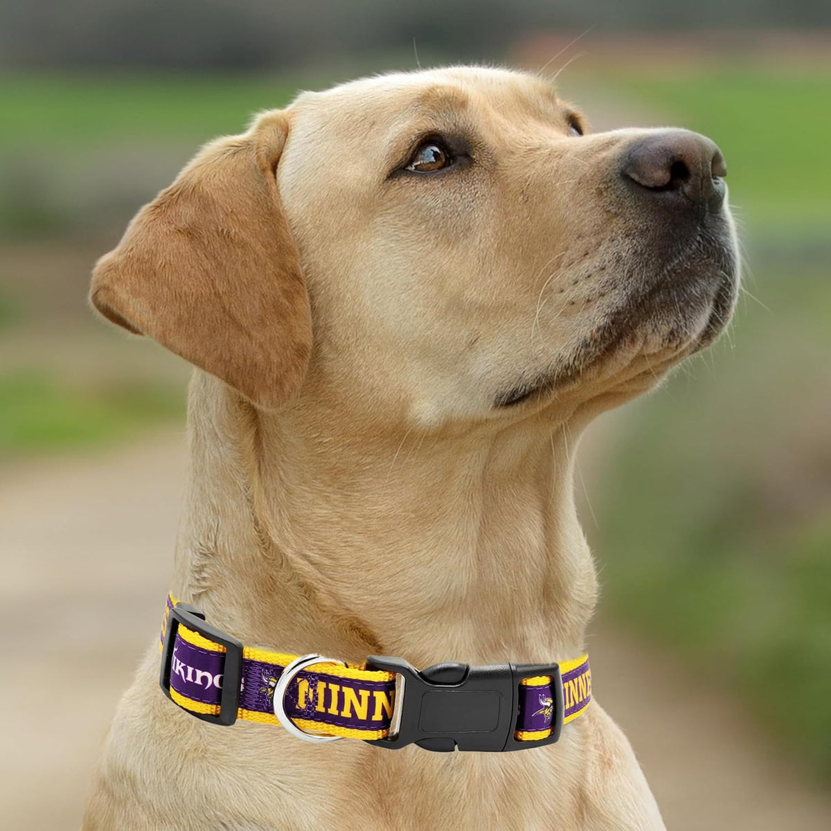 NFL Vikings Dog & Cat Collar - Minnesota Vikings / Large - image 3