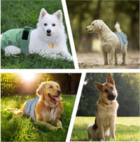 Reusable Dog Diapers Female Washable 3 Pack S Flowers for Heat – Essentials for Dogs - Light colored series / S(Newborn-11.5"Waist) / 3 - image 4