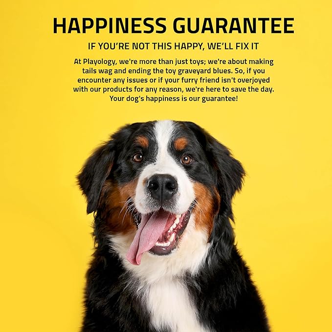 Playology Dog Toys | Plush Toy Squirrel Stuffed Animal for Dogs | Small Peanut Butter Scented Toy - Easy to Clean and Made from Non Toxic Materials