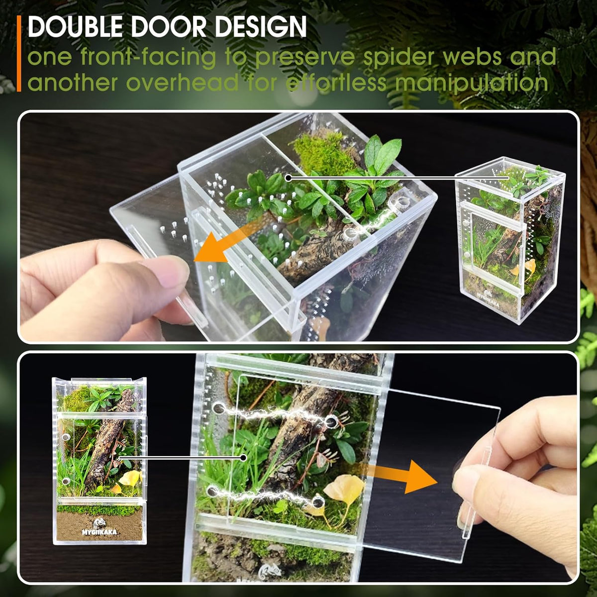 MYGIIKAKA Jumping Spider Enclosure Accessories - 3x3x6 inch - image 2