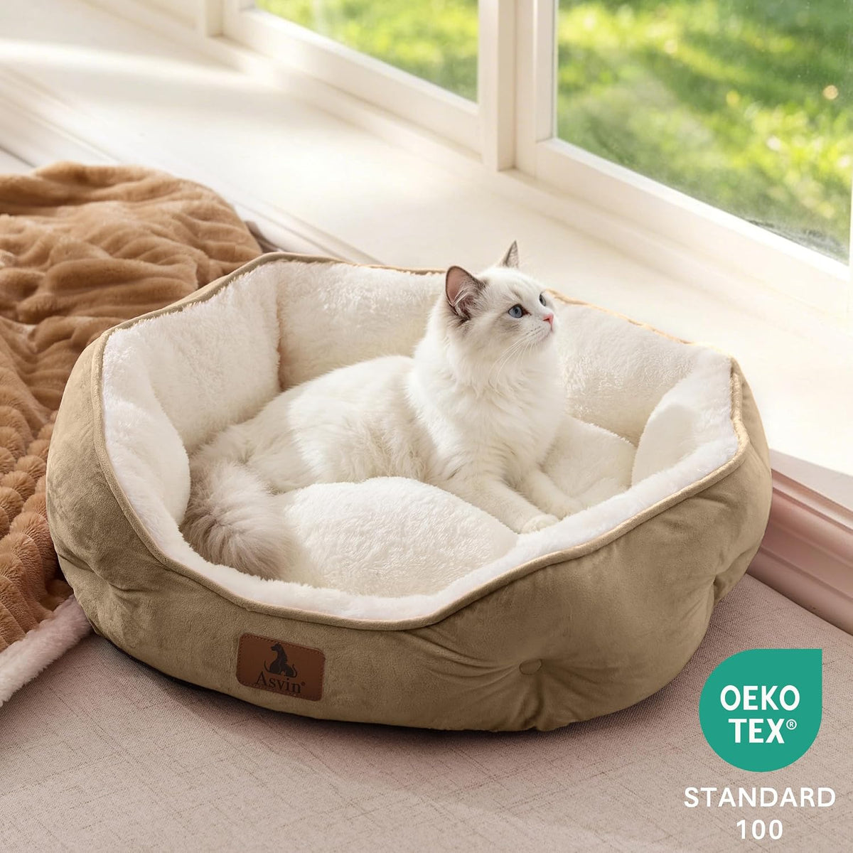 Small Dog Bed for Small Dogs, Cat Beds for Indoor Cats - Small (Pack of 1) / Light Brown - image 4