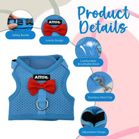 Breathable Bunny Harness and Leash Set with Cute Bow, Black S – Essentials for Small Pets - L / Blue - image 4