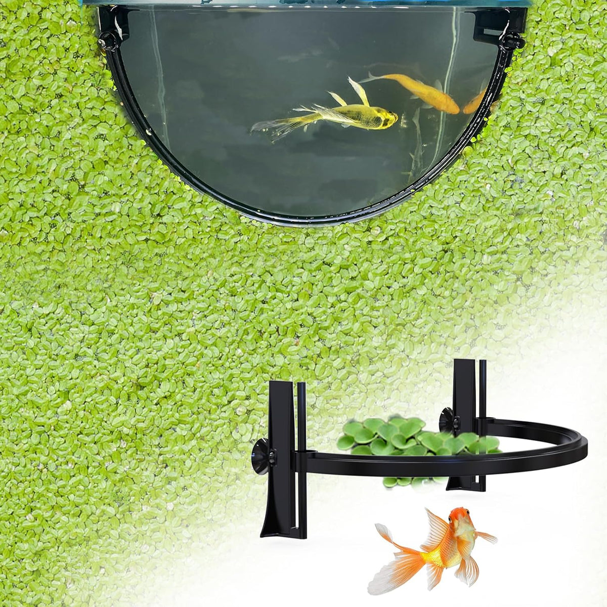 Pryitier Aquarium Floating Plant Barrier - Style-2