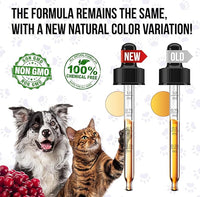 Liquid Multivitamin for Dogs – Daily Glucosamine, Vitamin B, C & D3 Support – Cat Vitamins for Indoor Cats to Care for Joints & HIPS, Skin & Coat, and Gut – Help with Allergies & UTIs – 2 Oz