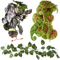 KATUMO Reptile Plants, Bearded Dragons, Lizards, Geckos, Toads - Green+purple