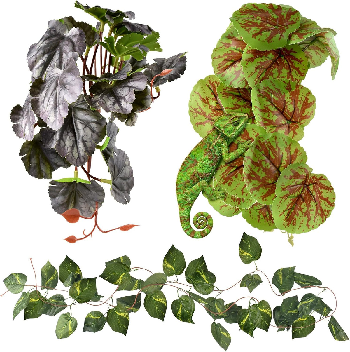 KATUMO Reptile Plants, Bearded Dragons, Lizards, Geckos, Toads - Green+purple